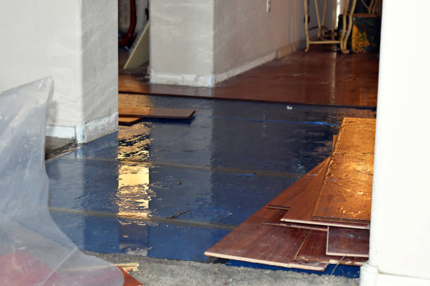 Professional Burst Pipe Cleanup technician working in Elk Mound, WI